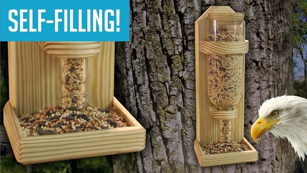 Tire bird feeder how to make