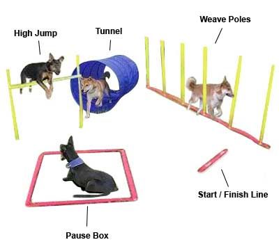 How to make a dog agility tire jump