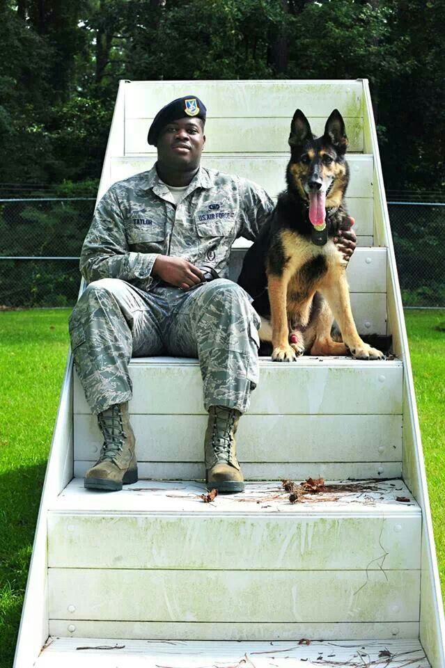 How to adopt a retired military service dog