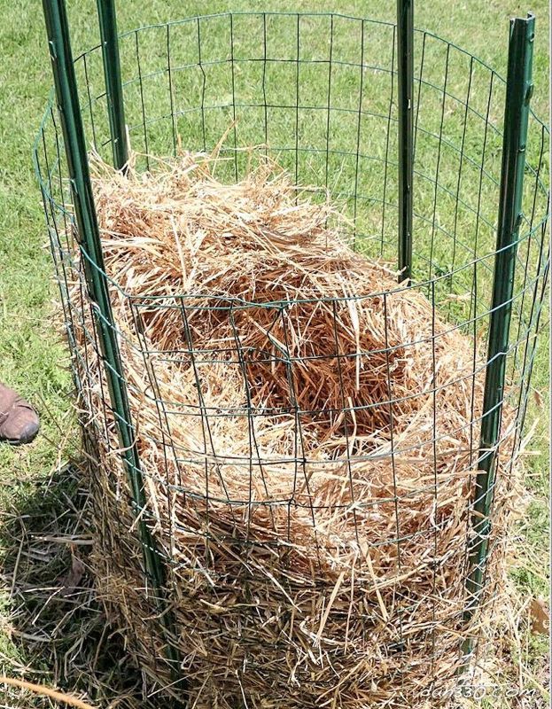 How to grow potatoes in straw and tires