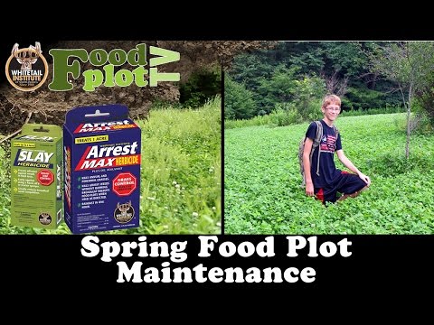 How to make a food plot with an atv