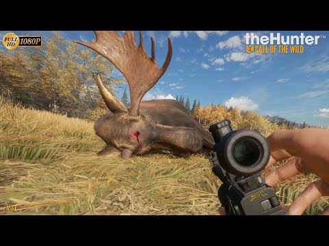 Thehunter cotw how to atv